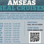AMSEAS Seal Watching Cruise from Stony Brook Marine Station