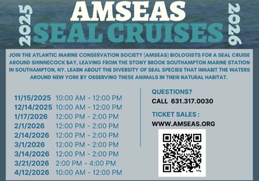 AMSEAS Seal Watching Cruise from Stony Brook Marine Station