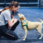 ARF's Bark the Question Free Lecture