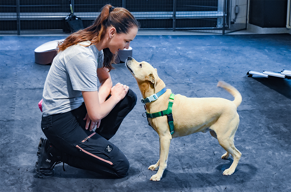 ARF's Bark the Question Free Lecture