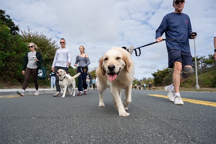 ARF's Stroll to the Sea Dog Walk