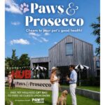 The HUB Presents Paws & Prosecco