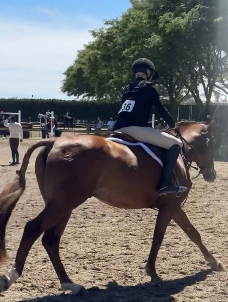Hampton Classic Horse Show 2026: Dates, Grand Prix and What to Know ...