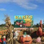 Evelyn Alexander Wildlife Rescue Center Brings Birds of Prey to Hank’s Pumpkintown