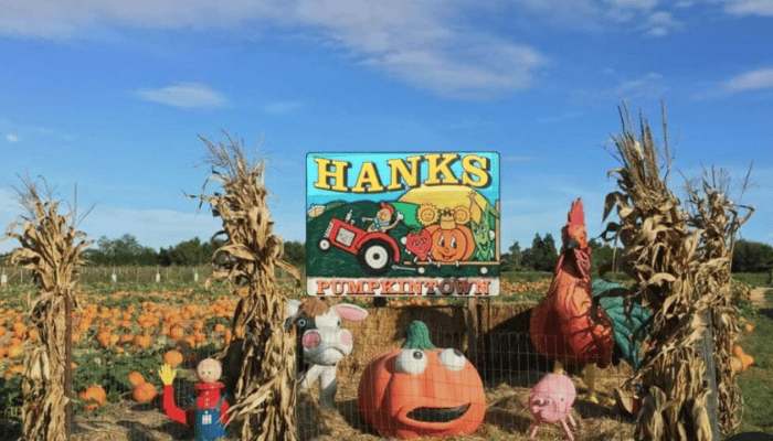 Evelyn Alexander Wildlife Rescue Center Brings Birds of Prey to Hank’s Pumpkintown